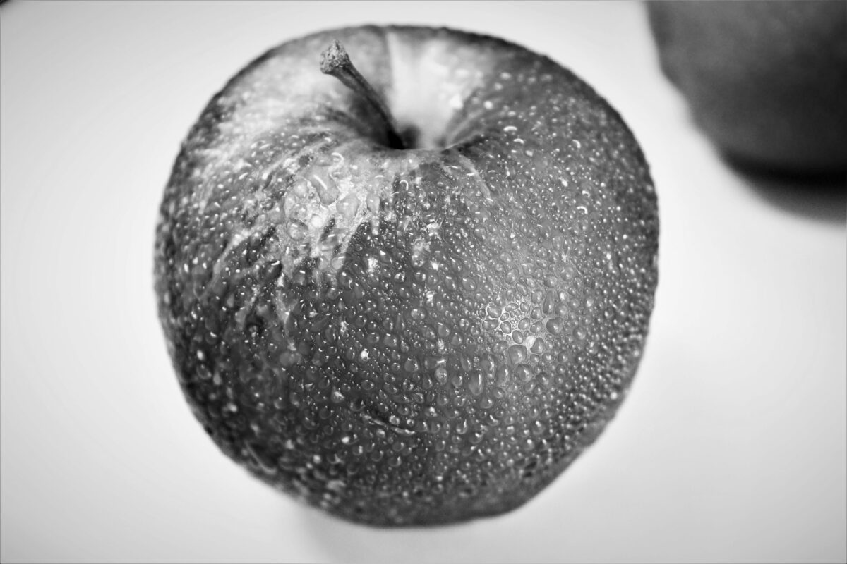 YOU ARE WHAT YOU EAT…(AND SO IS YOUR DOG!)  “People Food”